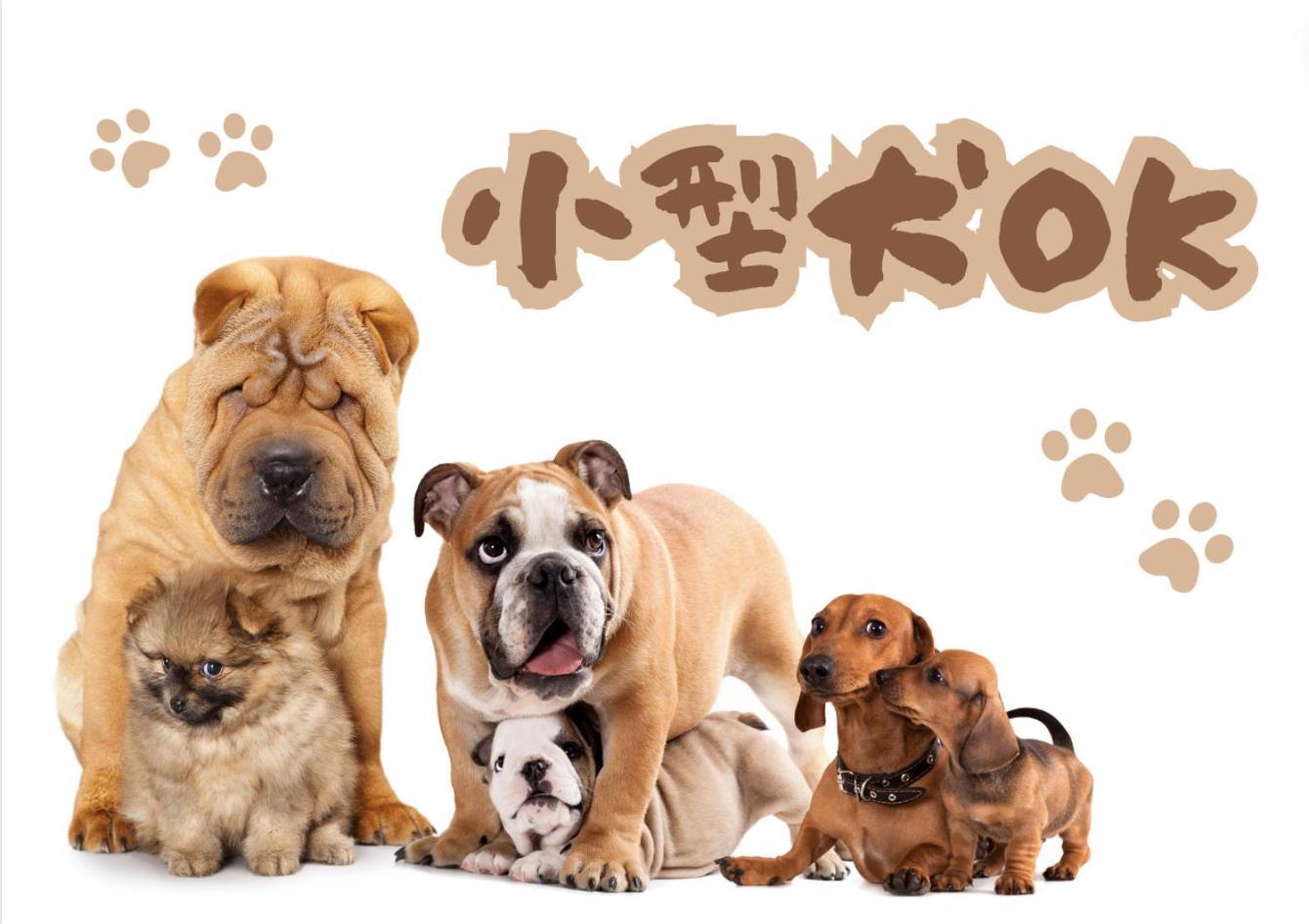 Akizero Onnason Villa Ngoại thất bức ảnh